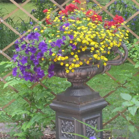 Bei Berlin Dom wakacyjny Falkensee